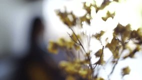 Video dried yellow flower in the cafe, coffee shop with defocus people silhouette background 