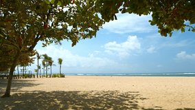 Shady patch of sand under a tree on an expansive. sandy. tropical beach in Bali. Indonesia. on a clear. sunny day. Video UltraHD