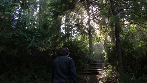 Model released man walks up steps through beautiful sun lit forest in the Pacific Northwest, Oregon.