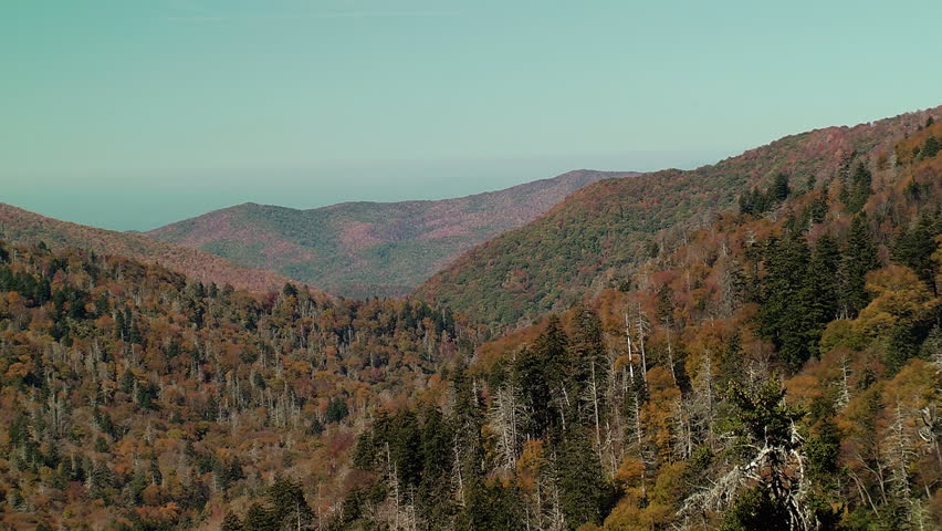 Beautiful autumn foliage in the Great Smoky mountains of Tennessee, USA.  Here you will find some of the most spectacular autumn colors in the US