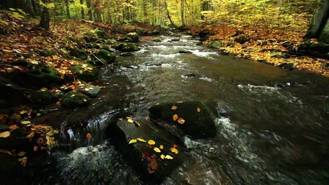 Autumn river landscape with nature sounds