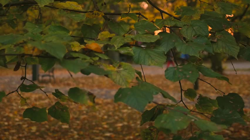 Kids playing in evening park during sunset in the blurred background 1080p slow motion 25fps
