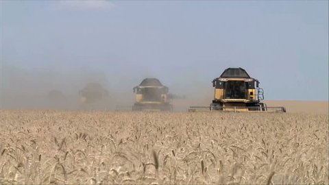 Wheat harvesting shearers 