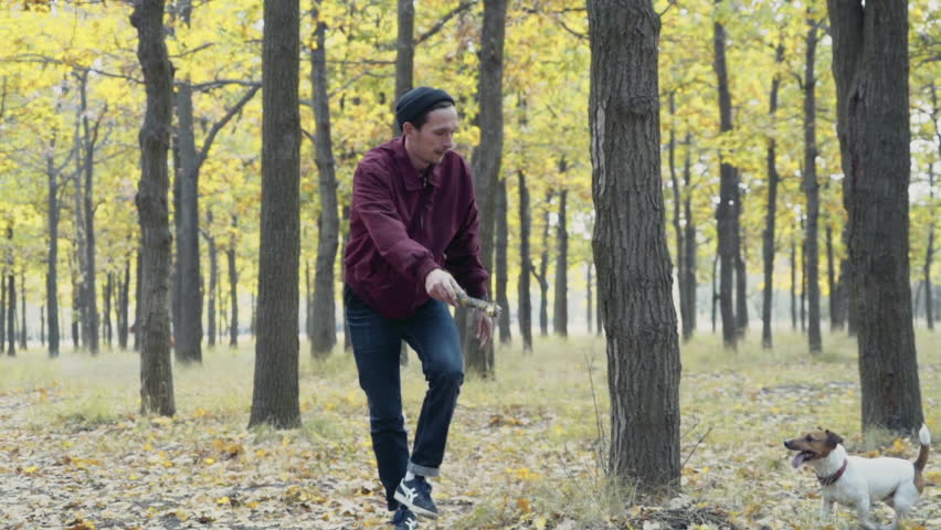 young man playing with two dogs in autumn park slow motion