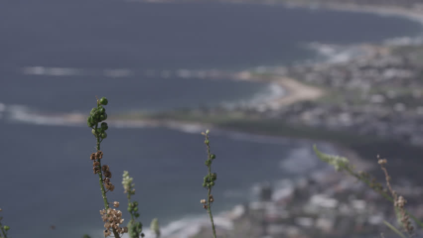 Mountain view of coastline and surf coming into focus