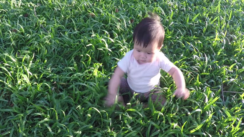 Cut baby sitting in the park. 