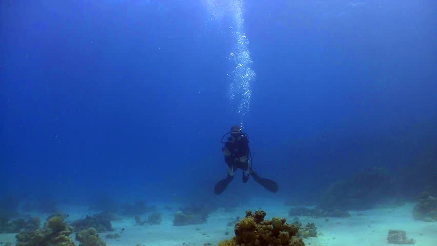 diver swims in coral reefs, Red sea