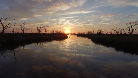 A beautiful southern Louisiana sunset over a bayou and stretch of water dotted with silhouettes of dead trees.