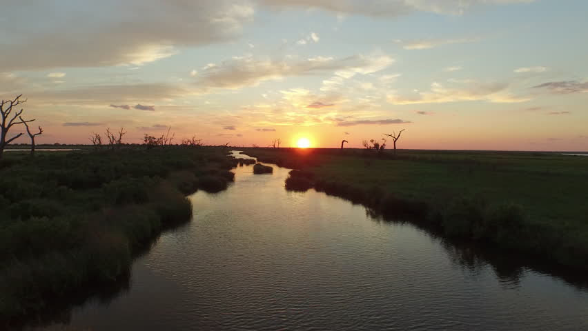 A beautiful southern Louisiana sunset over a bayou and stretch of water dotted with silhouettes of dead trees.