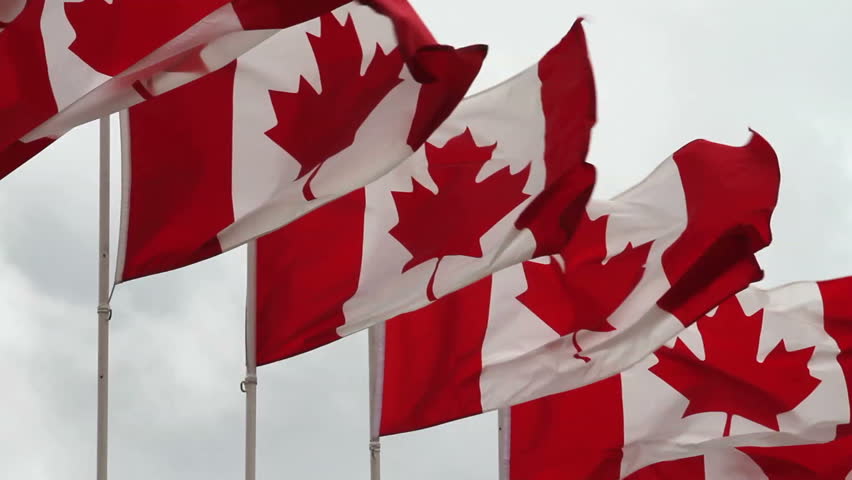 Row of Canadian flags