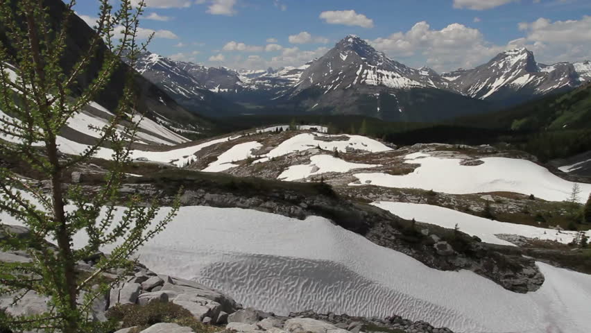 Snow fields in the Canadian Rockies