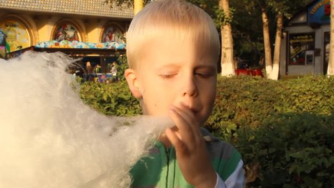 The little blond boy eating cotton candy at an amusement park in the summer for a walk 