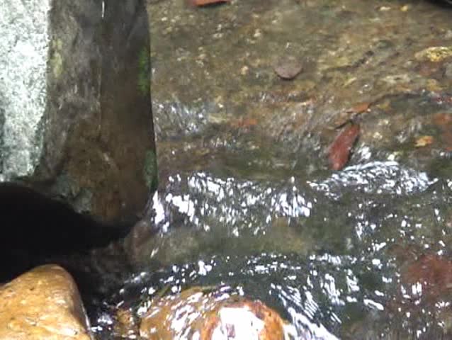Stream