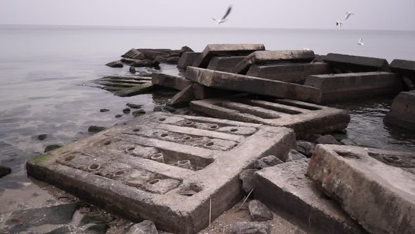 autumn, waiting by the sea 