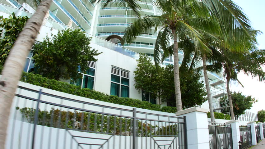 Miami building and palm trees