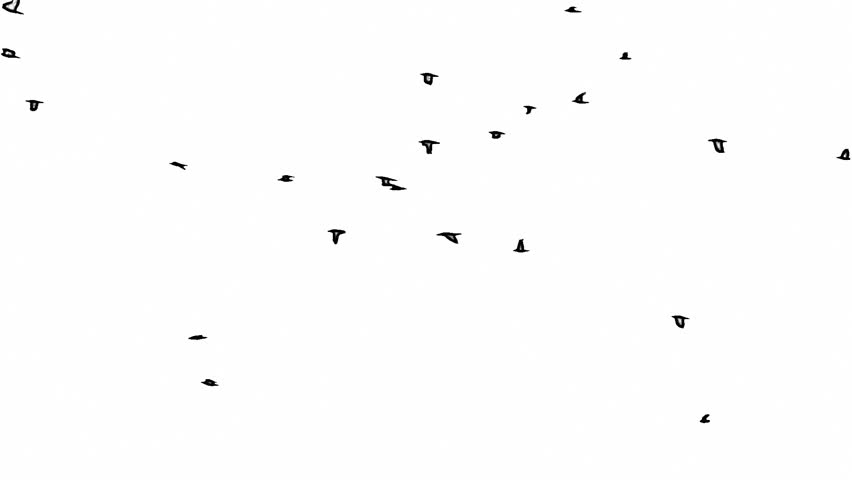 Featured image of post View 25 Flying Bird Cartoon Black And White