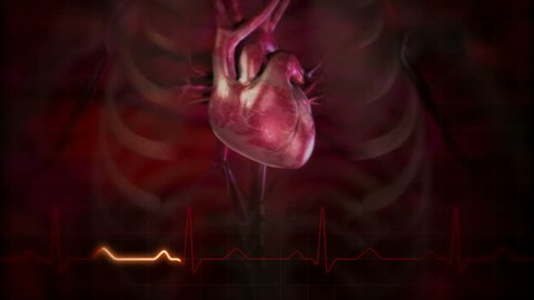 Heartbeat Animations With Veins And の動画素材 ロイヤリティフリー Shutterstock