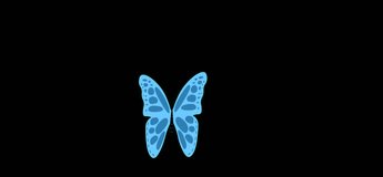 Butterfly Animated Clip. A great piece of stock in 4k definition, perfect for film, tv, documentaries, reality TV, trailers, infomercials and more!