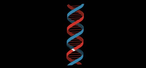 A Strand of DNA. A great piece of stock in 4k definition, perfect for film, tv, documentaries, reality TV, trailers, infomercials and more!