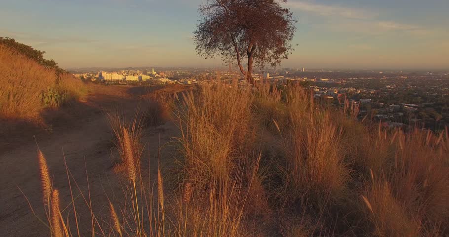 Aerial flying backwards over trail in Hollywood Hills with scenic view of Los Angeles cityscape at sunset. 4K UHD.