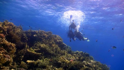 master diver teaches students to dive, red sea