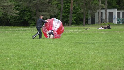 Father parent push fast his boy son kid in red zorb ball bubble on park meadow on May 23, 2015 in Vilnius, Lithuania. Active recreation. Tracking follow panorama shot. 4K