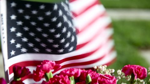 American flag at Military Memorial Cemetery, Veterans Day