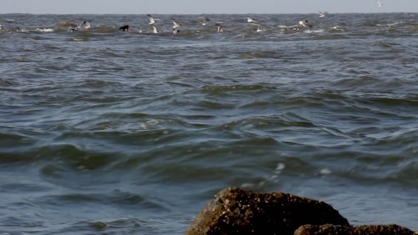 Edisto Beach, SC, USA: Incoming tide in morning light