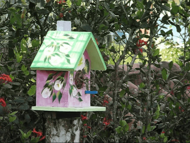 Bird House