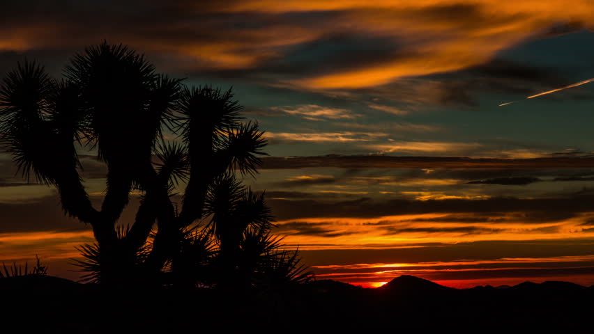 Time Lapse - Sunrise over Joshua Tree with Beautiful Cloudscape