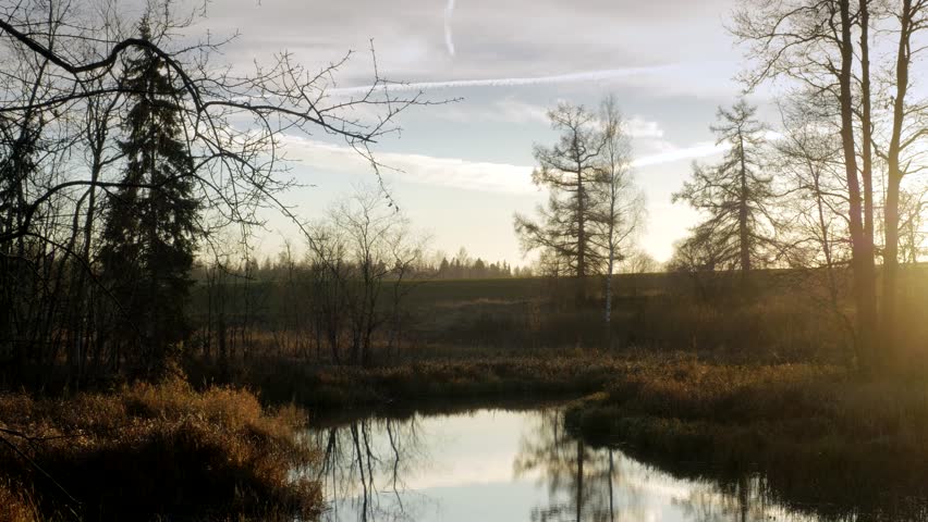 The river at sunset