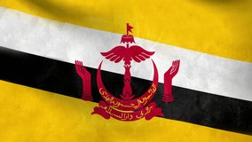 National flag of Brunei grunge background 