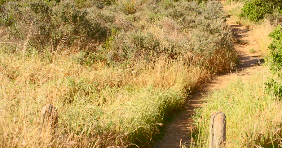 Tilt up mountain path to Lions Head, part of Cape Town