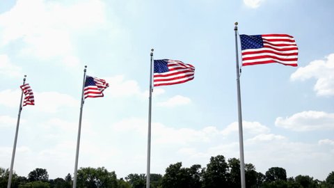 Four flags in a row blowing in wind स्टॉक वीडियो