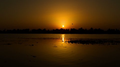 sunrise on the lake, sunrise over river, motorboat at sunrise, morning Landscape, 4K timelapse of sunrise at the river with water lily, 4K timelapse of sunrise over lake