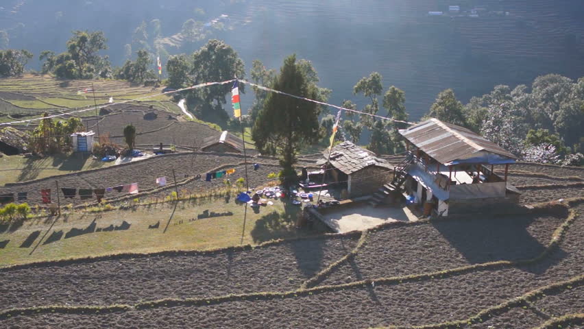 Fields in the Nepalese village on the track to the Poon Hill.