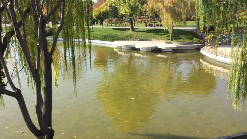 City park in a november day.