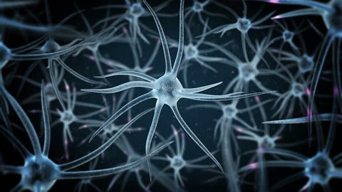 loopable science background with several neurons with depth of field