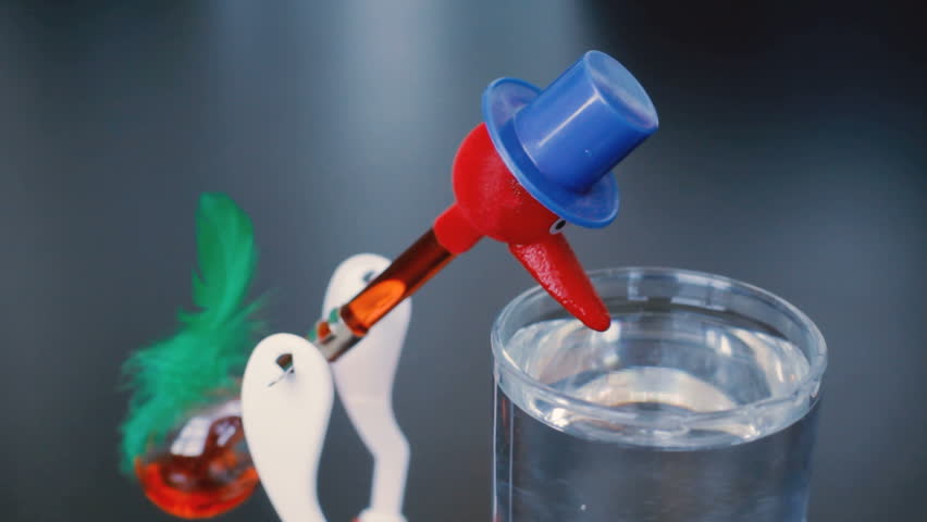 drinking bird science toy