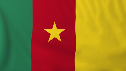 Flag of Cameroon, slow motion waving. Rendered using official design and colors. Highly detailed fabric texture. Seamless loop in full 4K resolution. ProRes 422 codec.