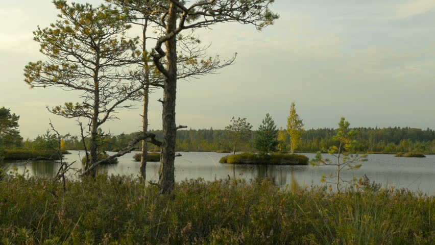 Small islands. Autumn daytime. Smooth dolly shot.