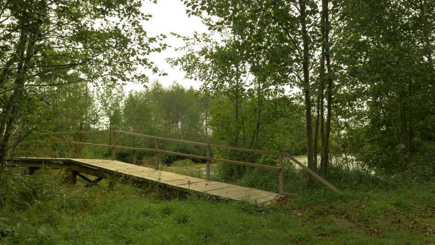 Wooden bridge in the national wildlife swamp reserve. Autumn daytime. Dolly shot.