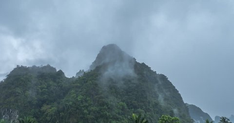 Humid Climate Tropical Rainforest Monsoon Season Stock Footage Video ...