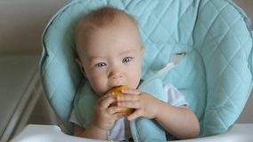 Adorable baby boy eating lemon