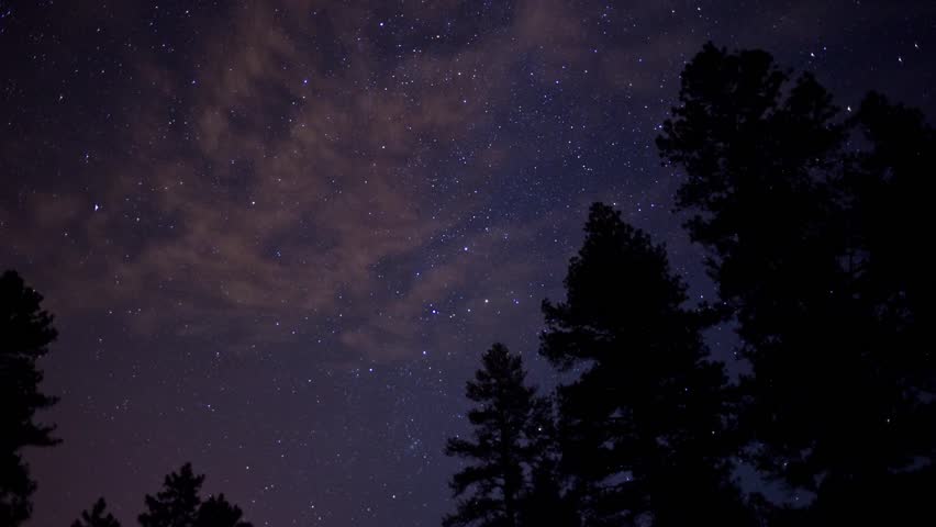 Alpine Pine Trees and Stars Stock Footage Video (100% Royalty-free ...