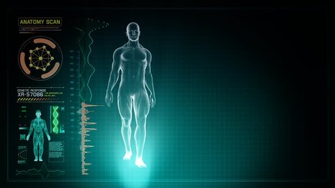 Human Anatomy WALKING with Touch Screen Scan and Futuristic Interface in 3D x-ray - LOOP