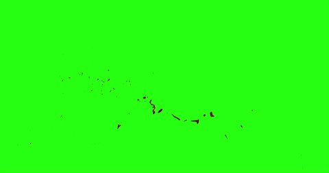 4k Blood Burst Motion Blur (Green Screen) 67