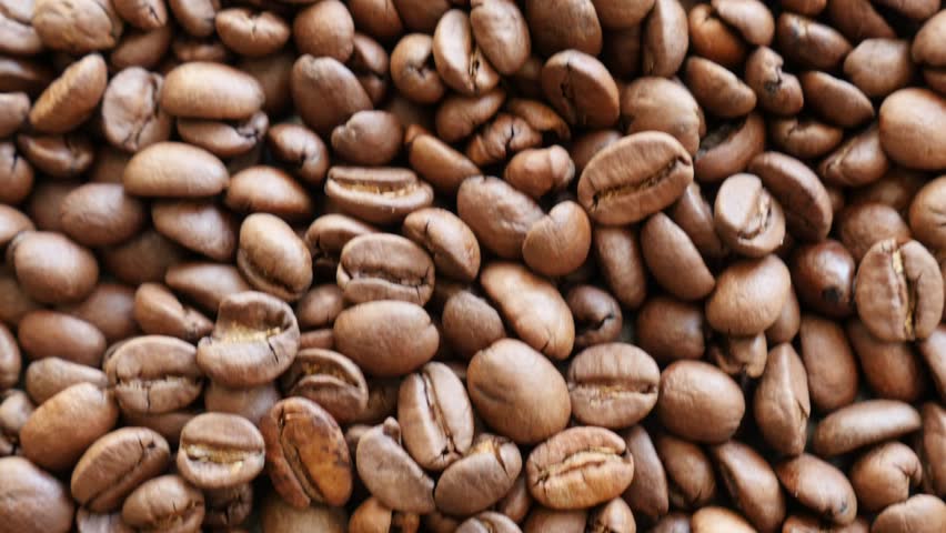 quality coffee beans