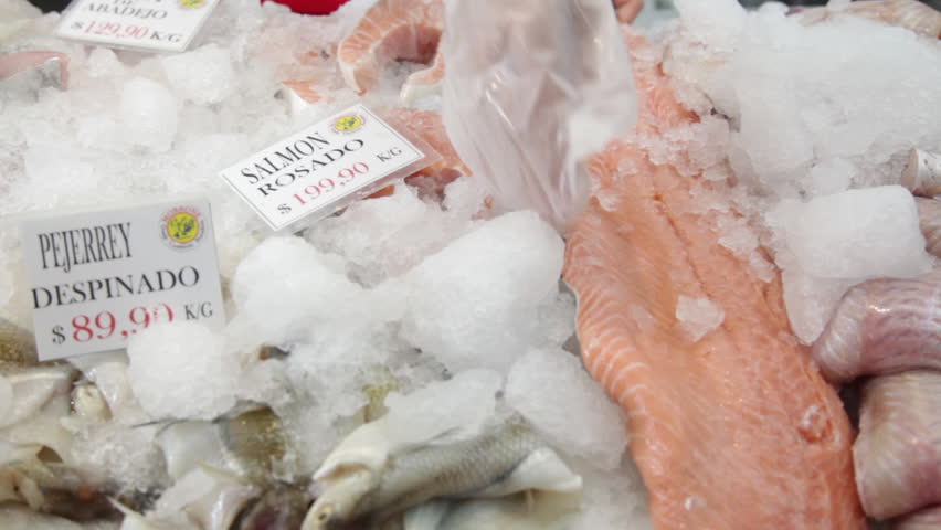 Woman showing a big salmon