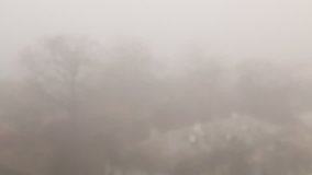 Thick fog enveloped the house and trees with fallen leaves